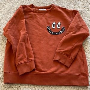 Zara boys cool vibes sweater